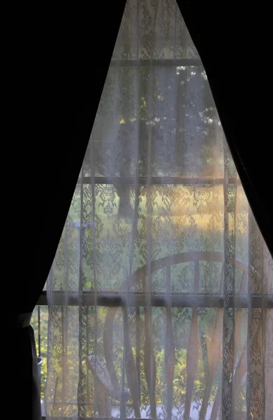 View through a lace curtain looking at a rocking chair and early morning summer yard.