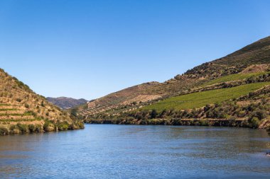 Aşağıdan Douro üzüm bağlarının manzarası. Yüksek kalite fotoğraf