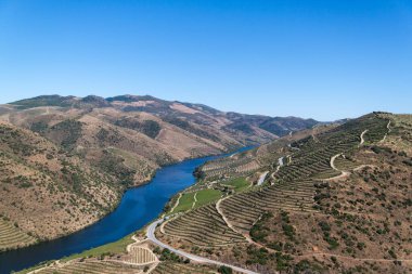 Douro üzüm bağlarının manzarası. Vadideki nehir. Yüksek kalite fotoğraf