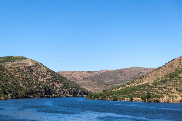 Aşağıdan Douro üzüm bağlarının manzarası. Yüksek kalite fotoğraf