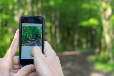 Young man with cellphone in hand taking photo in the forest.