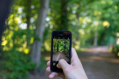 Young man with cellphone in hand taking photo in the forest.