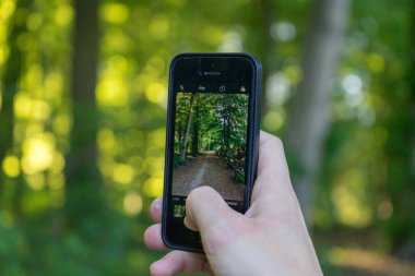 Young man with cellphone in hand taking photo in the forest.