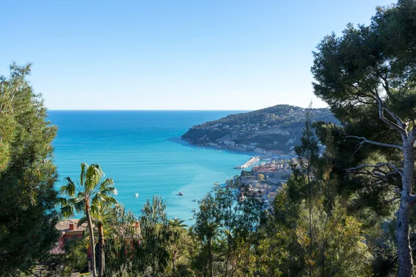 Coast view from the top between trees in the Mediterranean with a deep blue ocean