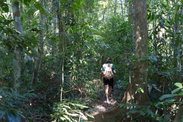 Surat Thani, Thailand - December 6, 2021: Hiking Woman Walk with a Backpack in Green Forest in Khao Sok National Park