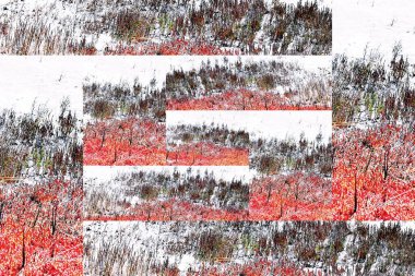 Velddrift Güney Afrika 'da güzel tuz çayırlarıyla kolaj