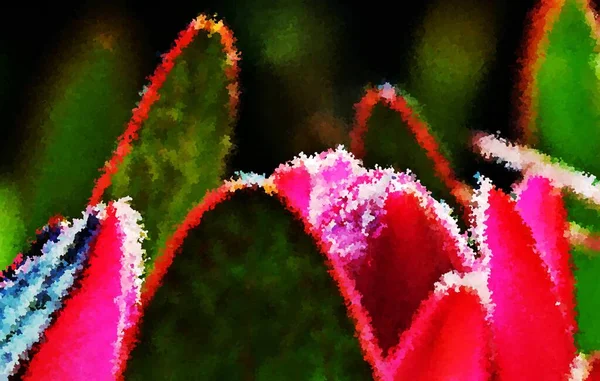 Zblízka Krásné Růžové Protea Květ Dojem — Stock fotografie