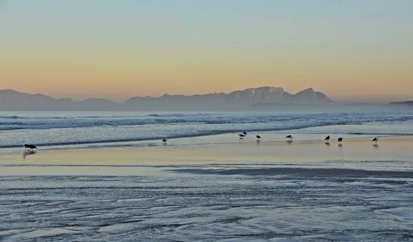 Paisaje Con Hermoso Amanecer Sobre Playa Strand Bahía Falsa — Foto de Stock