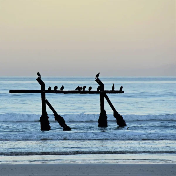 Landscape Beautiful Sunrise Beach Strand False Bay — Stock Photo, Image