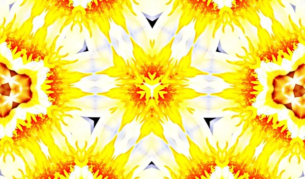 Ein Dekoratives Florales Digitales Kaleidoskopmuster — Stockfoto