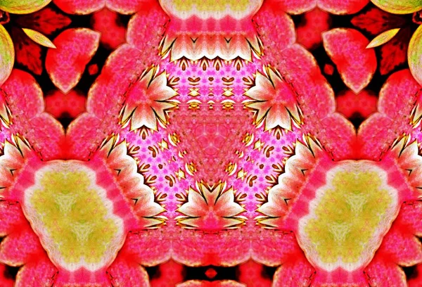 Dekoracyjny Kwiatowy Wzór Kalejdoskopu Cyfrowego — Zdjęcie stockowe