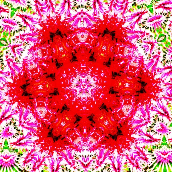 Декоративний Квітковий Цифровий Калейдоскоп Візерунок — стокове фото