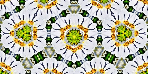 Ein Dekoratives Florales Digitales Kaleidoskopmuster — Stockfoto