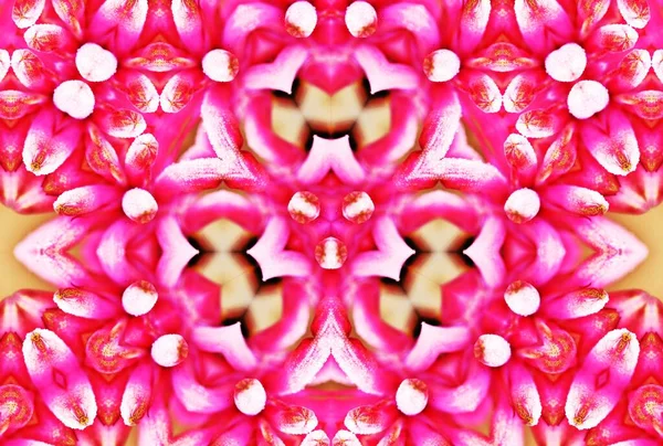 Motif Kaléidoscope Numérique Décoratif Floral — Photo