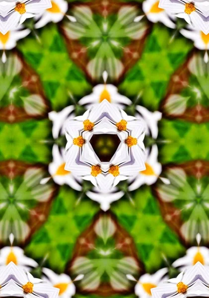 Motif Kaléidoscope Numérique Floral Décoratif — Photo