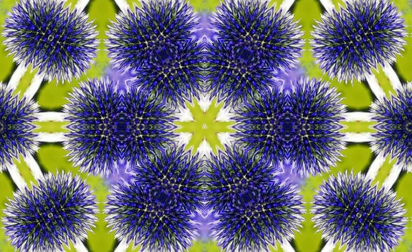 Ein Dekoratives Florales Digitales Kaleidoskopmuster — Stockfoto