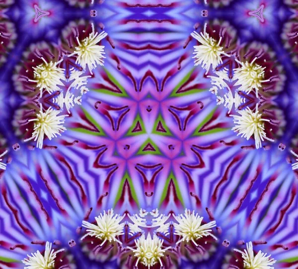 装飾的な花のデジタル万華鏡のパターン — ストック写真