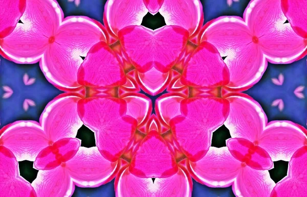 Patrón Caleidoscopio Digital Floral Decorativo —  Fotos de Stock
