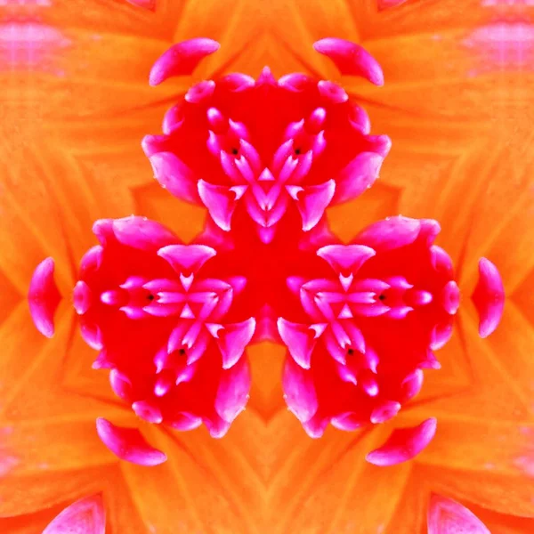 Decorative Floral Digital Kaleidoscope Pattern — Stock Photo, Image