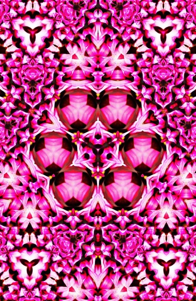 Dekorativní Květinový Digitální Kaleidoskop Vzor — Stock fotografie