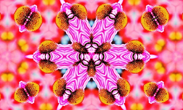 Decorative Floral Digital Kaleidoscope Pattern — Stock Photo, Image