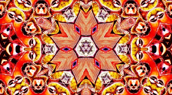 Decorative Floral Digital Kaleidoscope Pattern — Stock Photo, Image