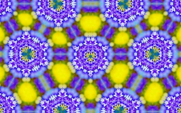 Dekorativní Květinový Digitální Kaleidoskop Vzor — Stock fotografie
