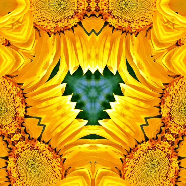 Decorative Floral Digital Kaleidoscope Pattern — Stock Photo, Image