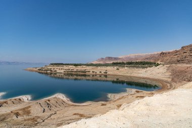 The salty shore of Dead Sea, salt crystals, salt bottom, Dead Sea Mud, there is no life , impossible to drown