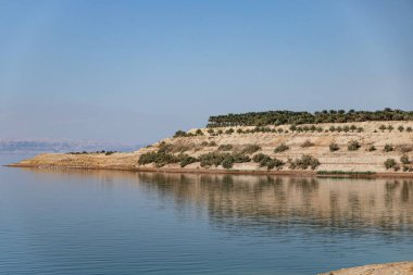 The salty shore of Dead Sea, salt crystals, salt bottom, Dead Sea Mud, there is no life , impossible to drown