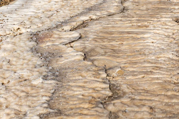 The salty shore of Dead Sea, salt crystals, salt bottom, Dead Sea Mud, there is no life , impossible to drown