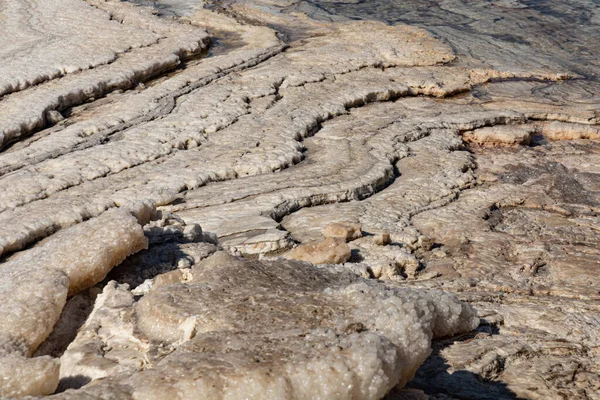 The salty shore of Dead Sea, salt crystals, salt bottom, Dead Sea Mud, there is no life , impossible to drown