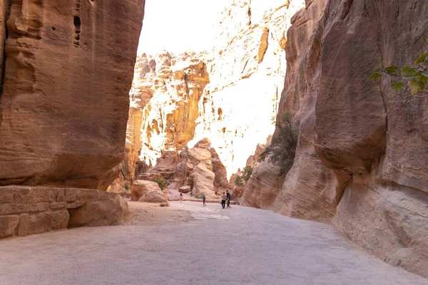 Ürdün Petra 'nın kırmızı kayaları arasında seyahat ederken 