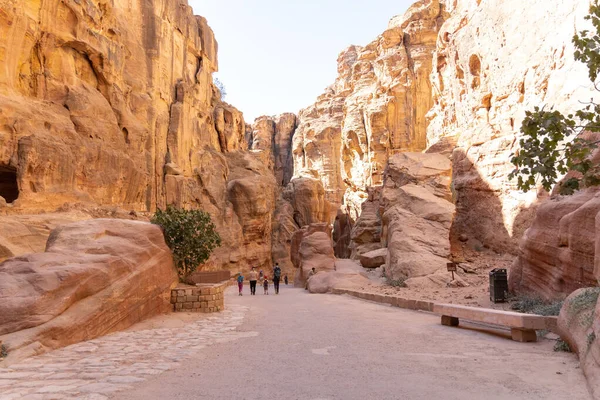 Ürdün Petra 'nın kırmızı kayaları arasında seyahat ederken 