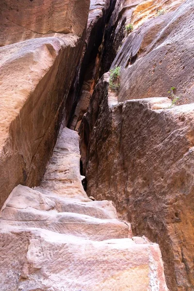 Perjalanan Melalui Ngarai Sempit Yordania Petra — Stok Foto