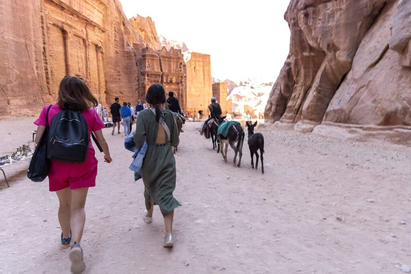 Asini Sono Trasporti Molto Popolari Giordania Petra Turisti Beduini — Foto Stock