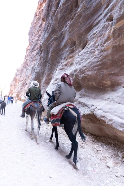Ezels Zijn Zeer Populair Vervoer Jordanië Petra Voor Toeristen Bedoeïenen — Stockfoto