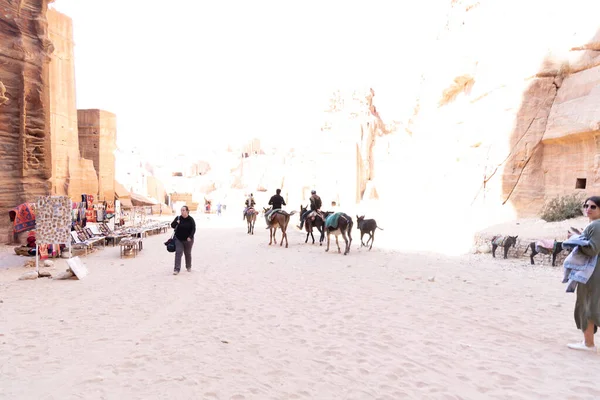 Donkeys Very Popular Transport Jordan Petra Tourists Bedouins — Stock Photo, Image