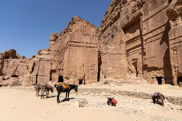 Viajar Entre Rocas Petra Jordania — Foto de Stock