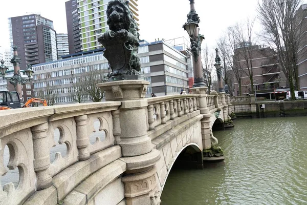 Rotterdam 'daki köprünün resmi 