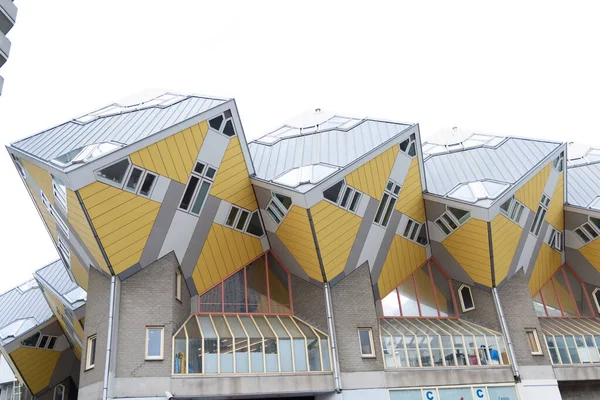 Rotterdam 'da küp evler