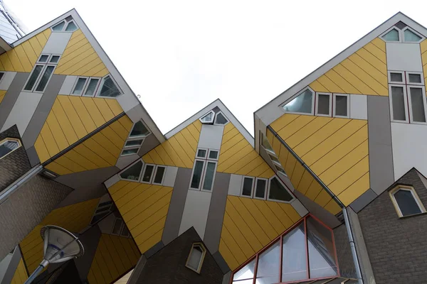 Rotterdam Küpü turistler için popüler bir yer 