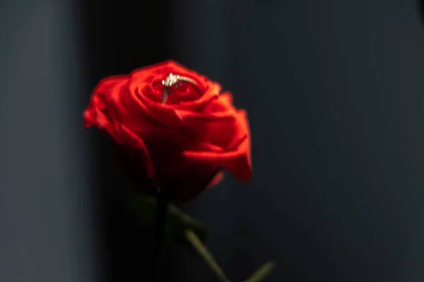 Casamento Proposta Presente Anel Ouro Com Diamantes Botão Flor — Fotografia de Stock