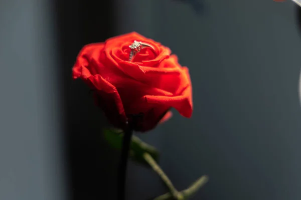 Anillo Oro Regalo Propuesta Matrimonio Con Diamantes Capullo Flores — Foto de Stock