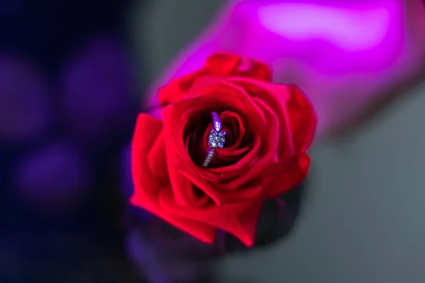 Anillo Oro Regalo Propuesta Matrimonio Con Diamantes Capullo Flores — Foto de Stock