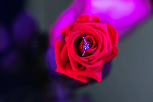 Marriage Proposal Gift Golden Ring Diamonds Flower Bud — Stock Photo, Image