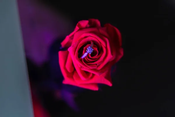 Подарочное Кольцо Бриллиантами Цветочном Бутоне — стоковое фото