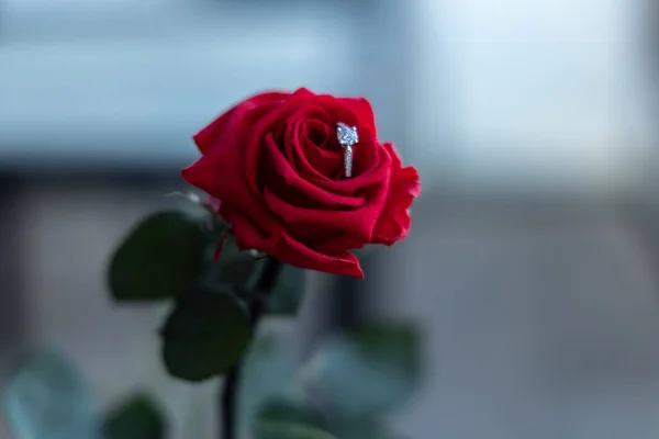 Casamento Proposta Presente Anel Ouro Com Diamantes Botão Flor — Fotografia de Stock