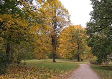 Sonbaharda İskenderiye Gölü ve kuğular