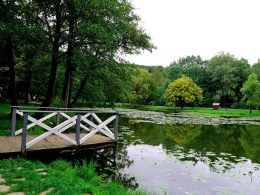 Ukrayna 'nın Transcarpathian bölgesindeki Polyana köyü.